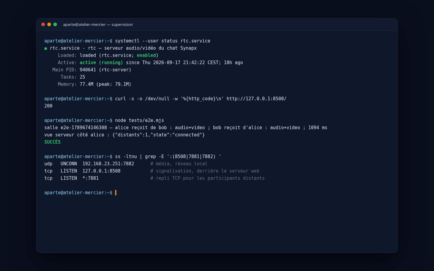 Console du serveur Aparté : service actif, test d'appel réussi